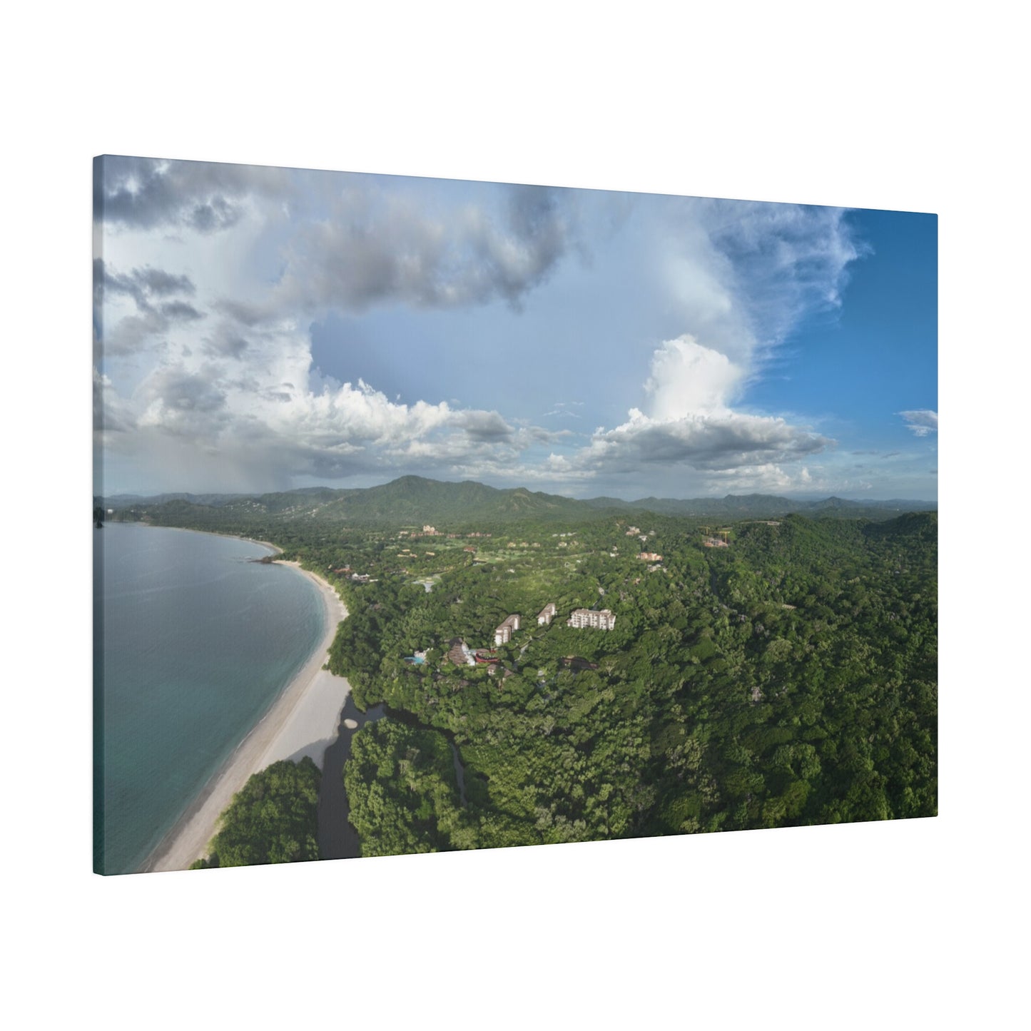 "Tropical Eden: A Lush Glimpse into Costa Rica's Vibrant Greenery"- Canvas