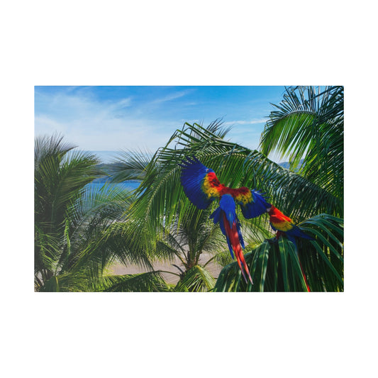 "Journey to the Tropics: Enchanting Laps of the Flying Macaws"- Canvas