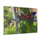 "Paradise Ascending: Marvellous Lapas Macaws in Tropical Flight"- Canvas