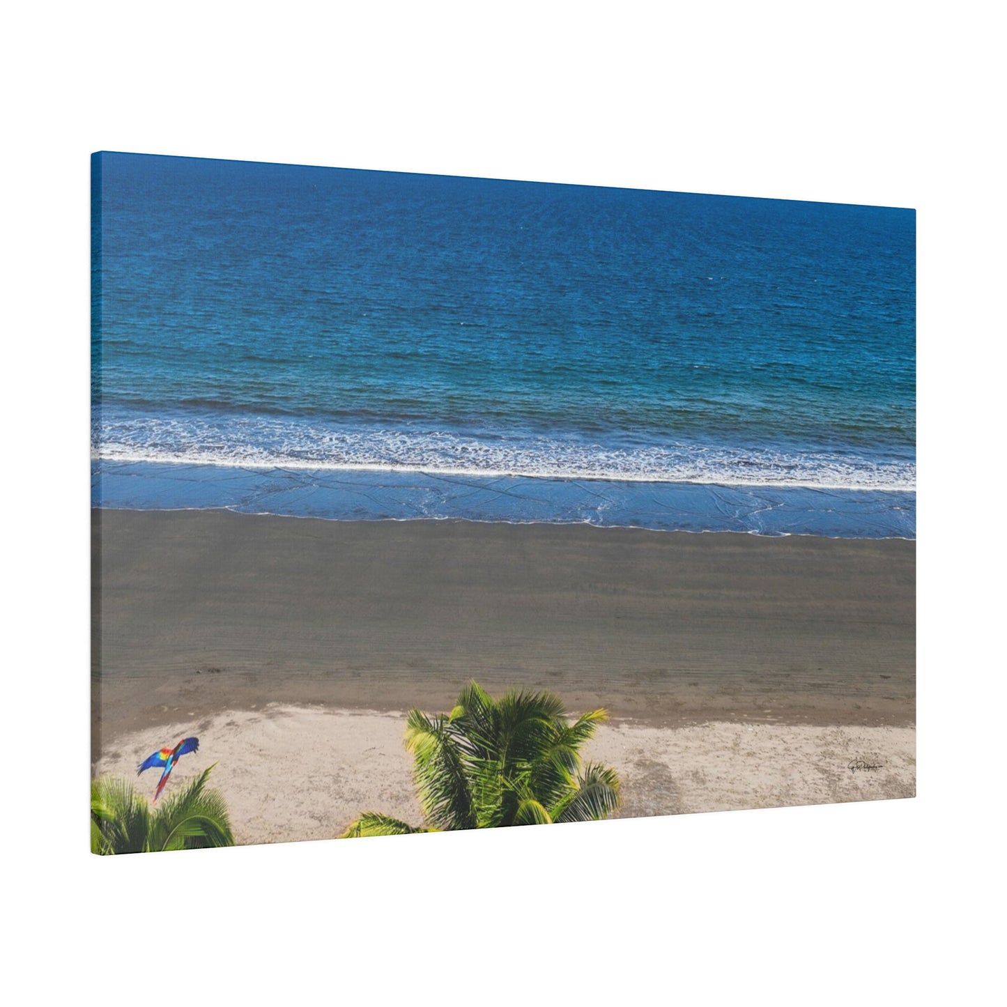 "Tropical Paradise: Spirited Lapas & Majestic Macaws in Flight"- Canvas