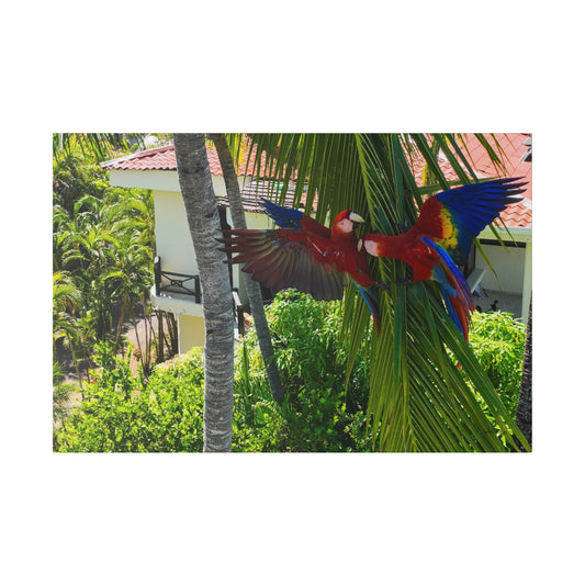 "Paradise Ascending: Marvellous Lapas Macaws in Tropical Flight"- Canvas
