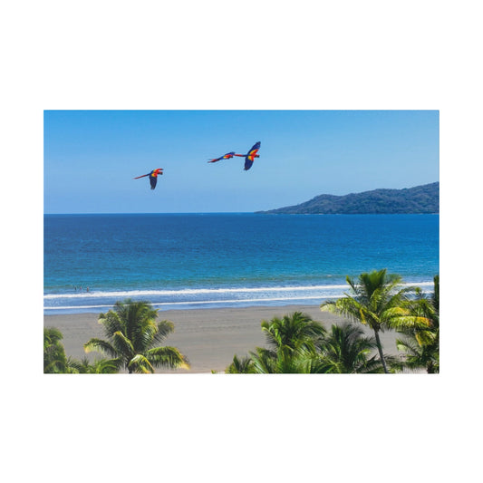 "Tropical Flights: A Symphony of Lapas and Macaws Among Palms"- Canvas