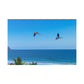 "Majestic Macaws: A Tropical Tapestry of Lapas in Flight"- Canvas