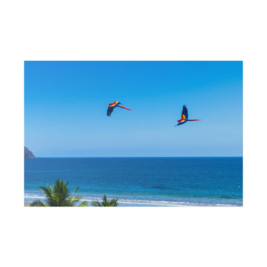 "Majestic Macaws: A Tropical Tapestry of Lapas in Flight"- Canvas