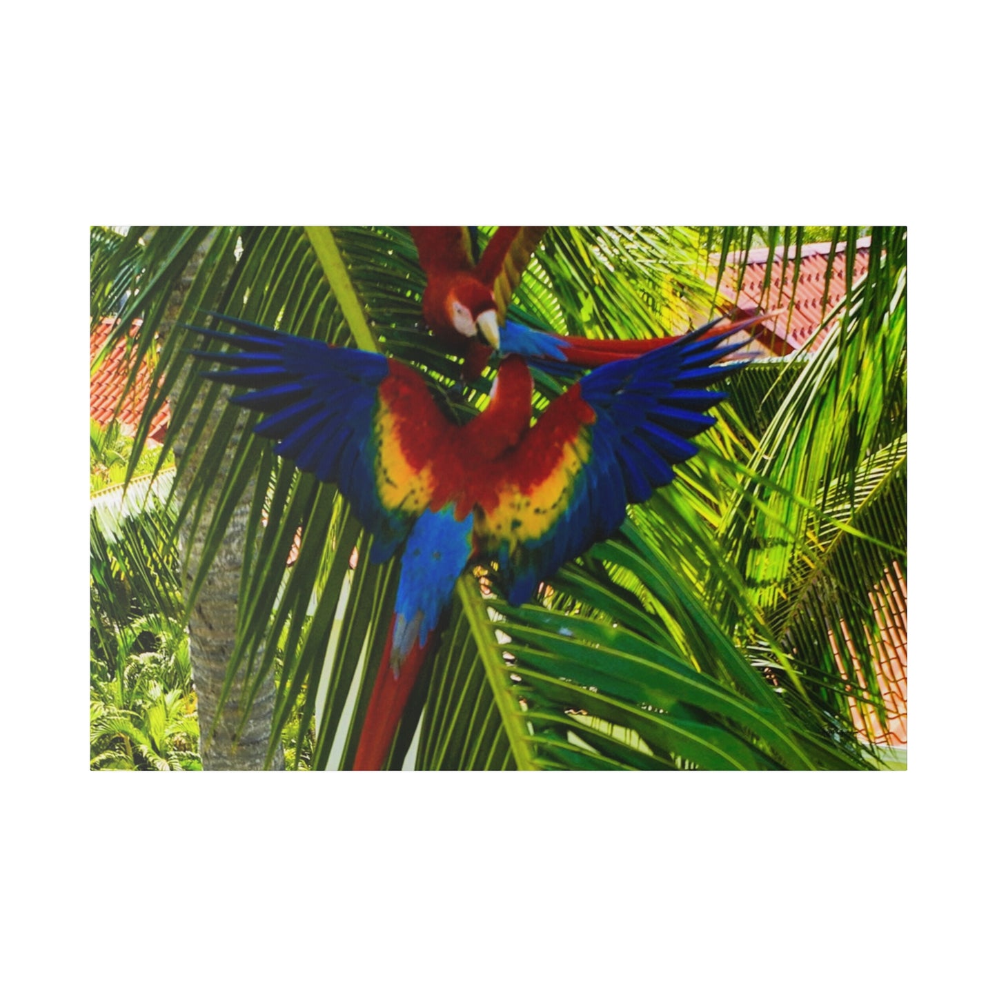 "Paradise in Flight: The Enchanting Journey of Tropical Lapas & Macaws"- Canvas