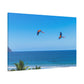 "Majestic Macaws: A Tropical Tapestry of Lapas in Flight"- Canvas