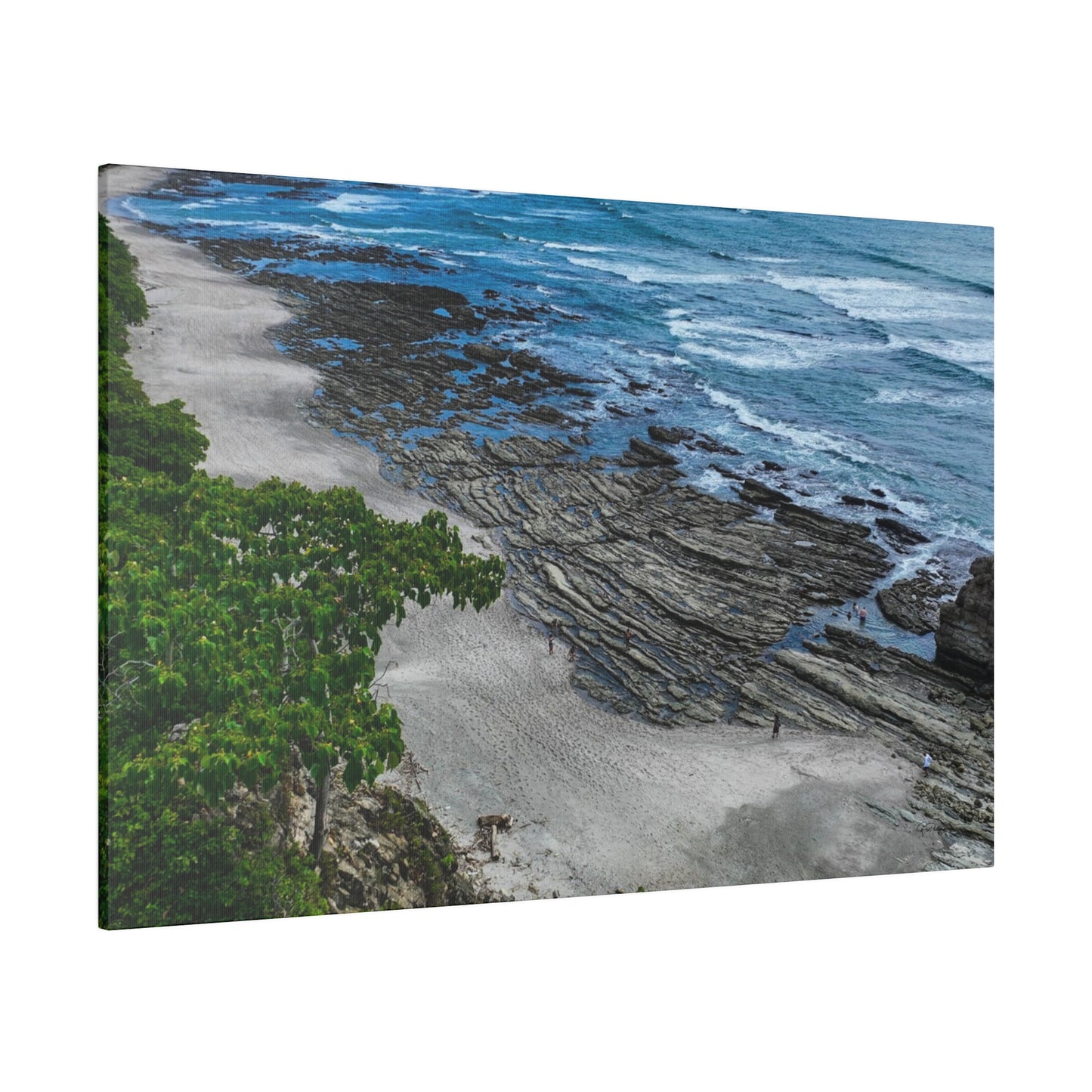 "Paradise Unveiled: The Lush Tropical Splendor of Costa Rica"- Canvas