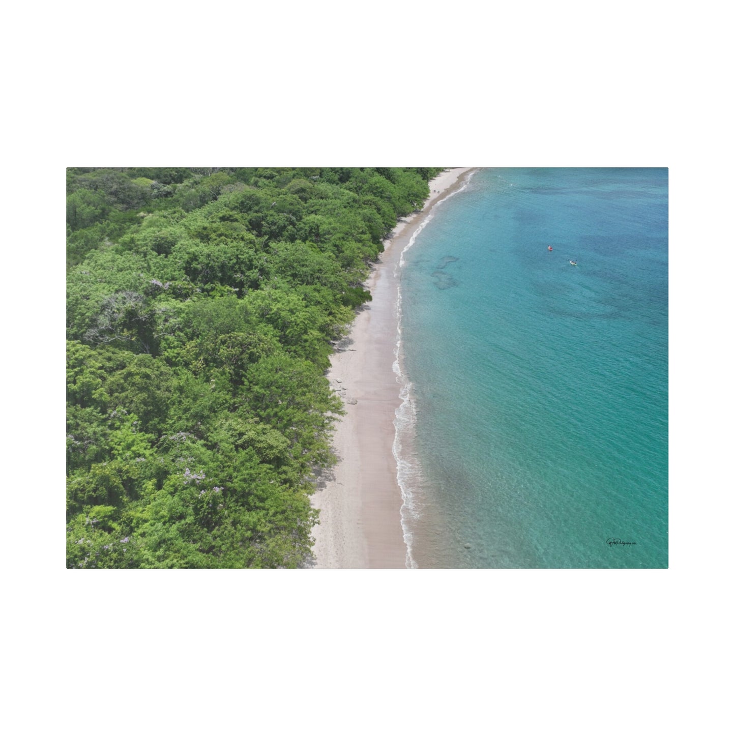 "Paradise Unveiled: Costa Rica's Lush Escape - A Tropical Odyssey"- Canvas