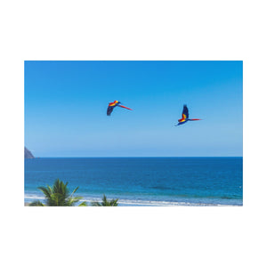 "Majestic Macaws: A Tropical Tapestry of Lapas in Flight"- Canvas