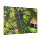 "Tropical Mirage: A Dance of Lapas – The Unrivaled Macaws of Paradise"- Canvas