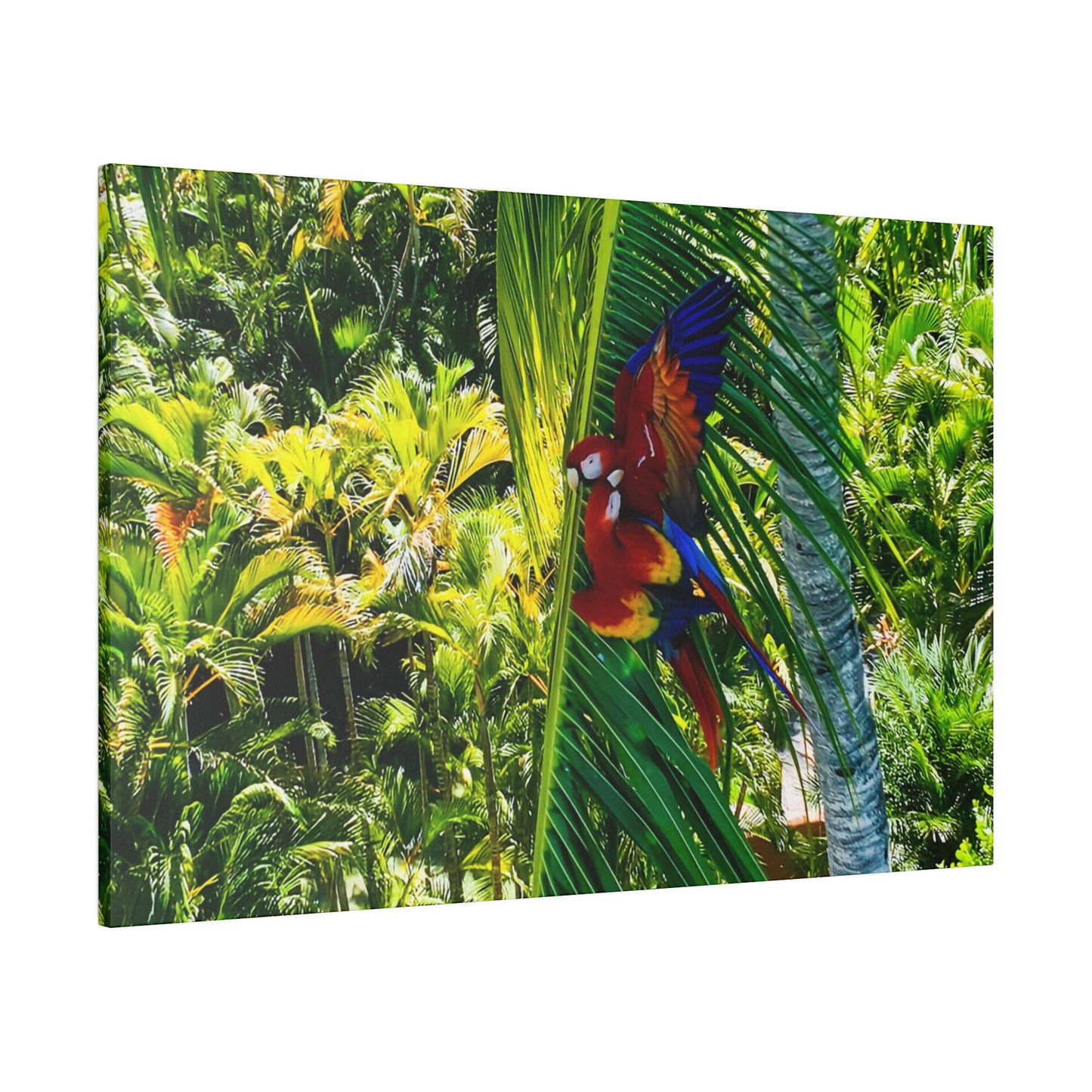 "Tropical Bliss: Malpais Beach, Costa Rica - A Playful Palette of Paradise"- Canvas