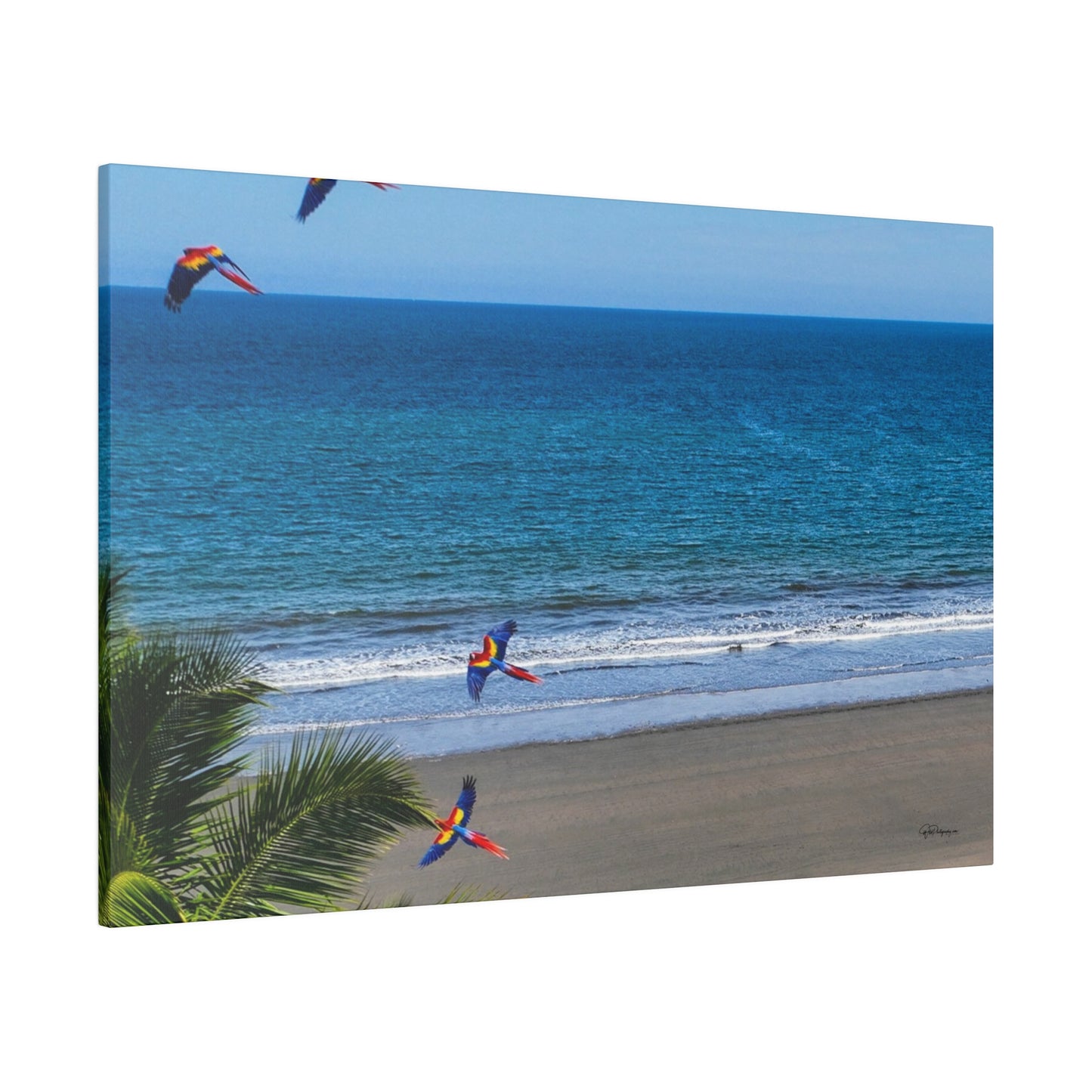 "Paradise Skies: The Tropical Tango of Guacamayas (Macaws)"- Canvas