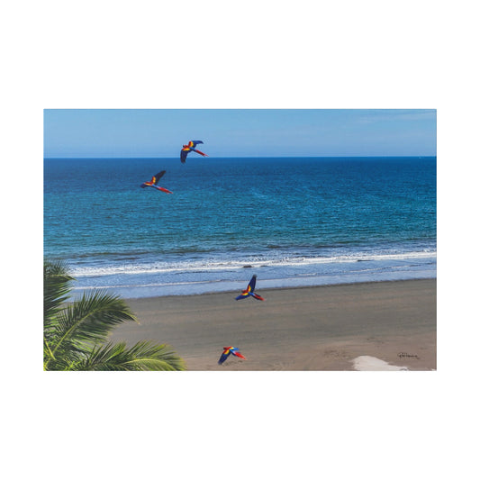 "Tropical Swoop: Lively Lapas & Majestic Macaws in Flight"- Canvas