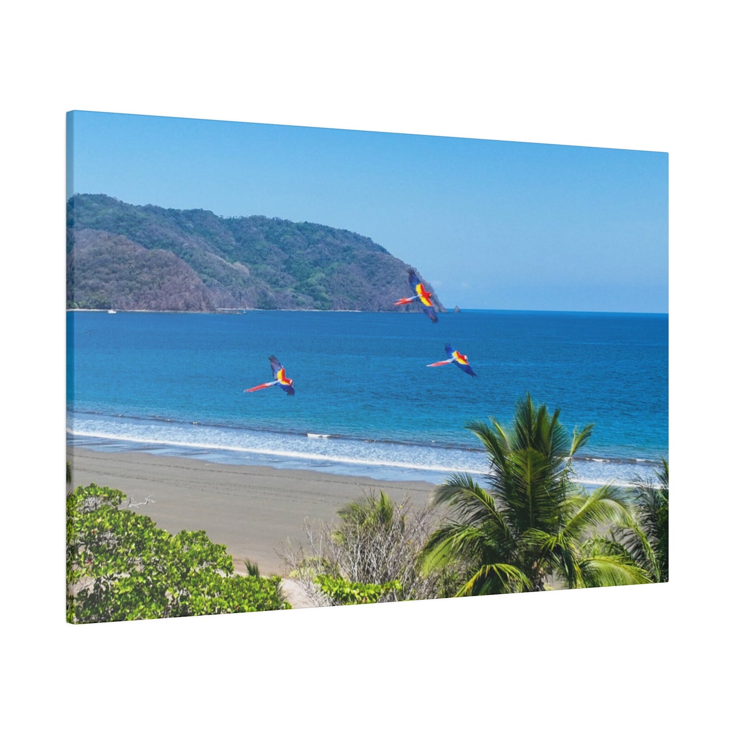 "Jubilant Journey: Lapas in Paradise - The Dance of Tropical Macaws"- Canvas