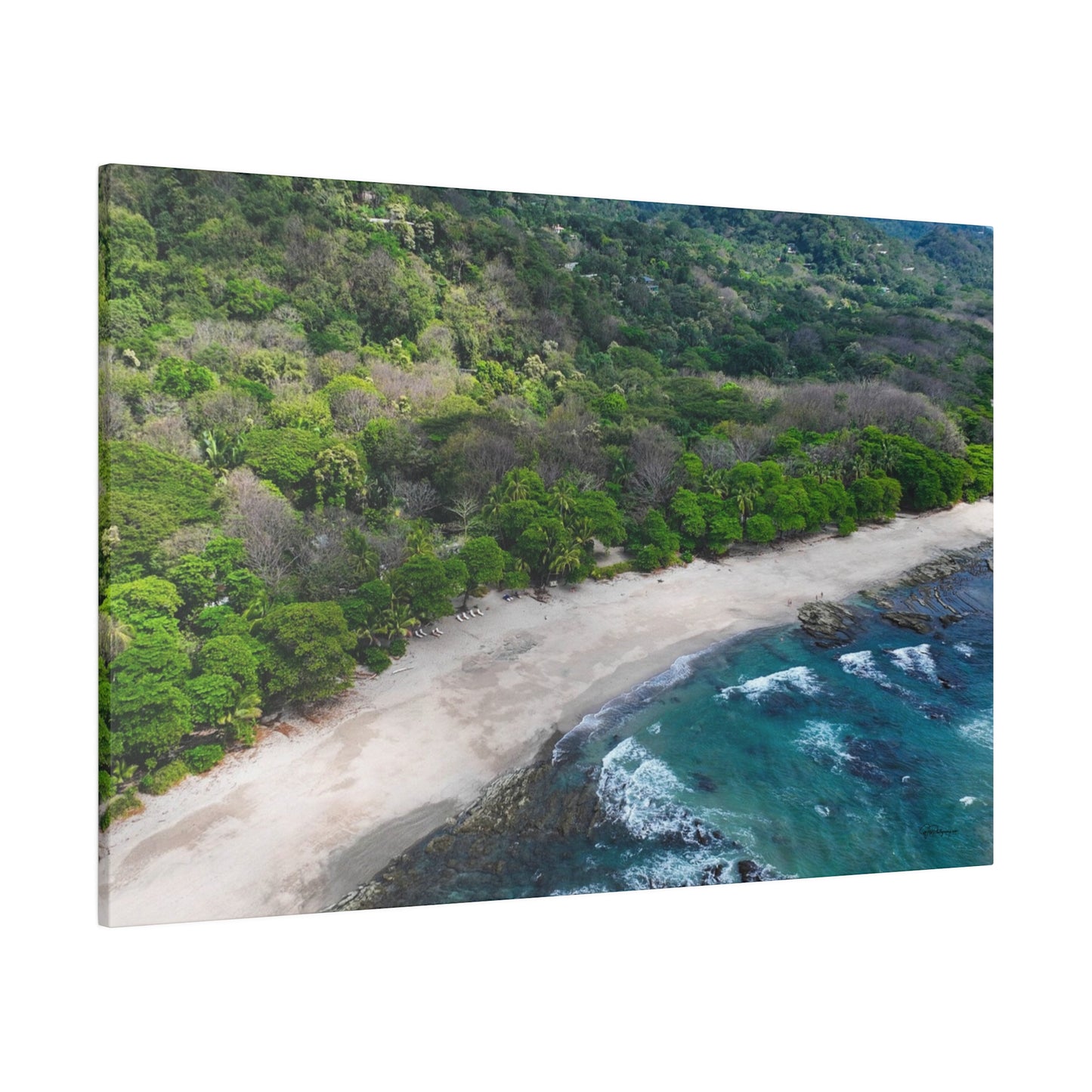 "Verdant Paradise: Captivating Vistas of Tropical Costa Rica"- Canvas