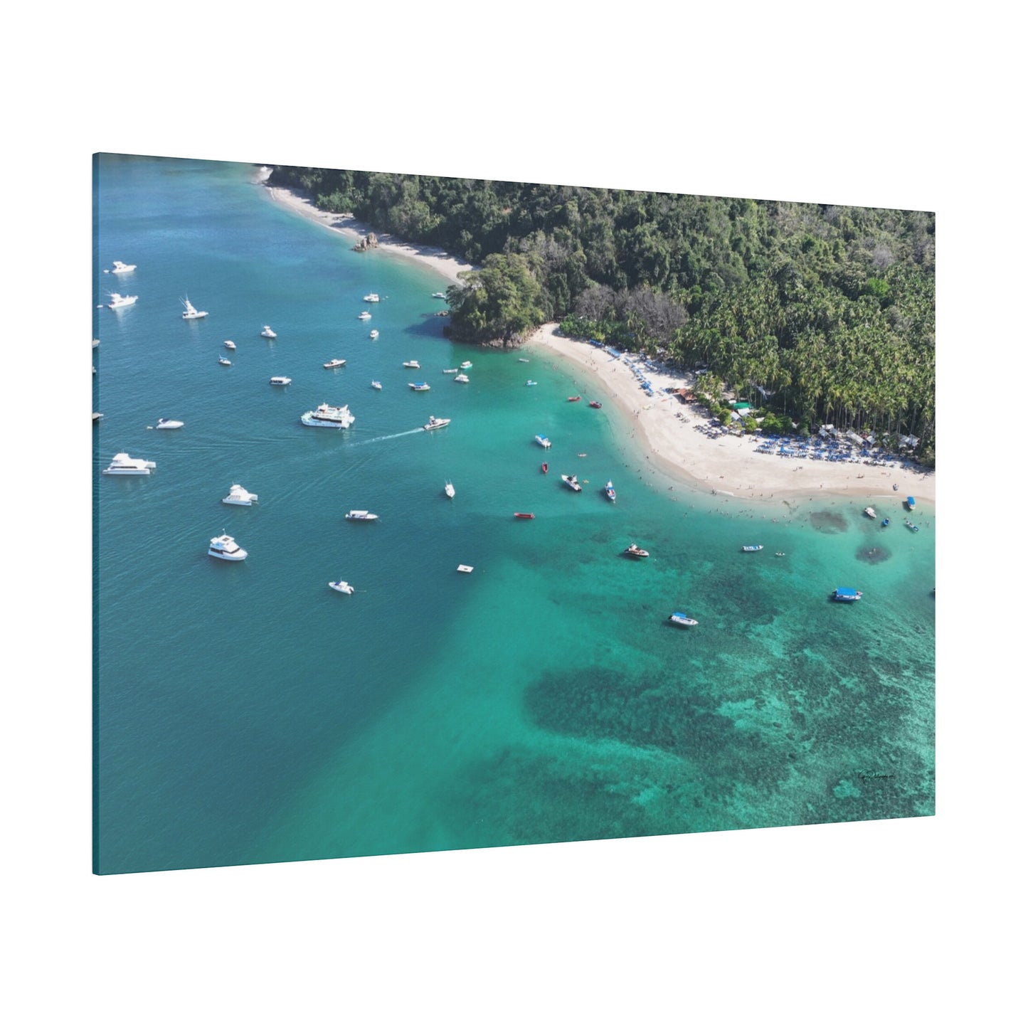 "Paradise Unveiled: The Lush Serenity of Isla Tortuga, Costa Rica"- Canvas