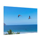 "Majestic Macaws: A Tropical Tapestry of Lapas in Flight"- Canvas