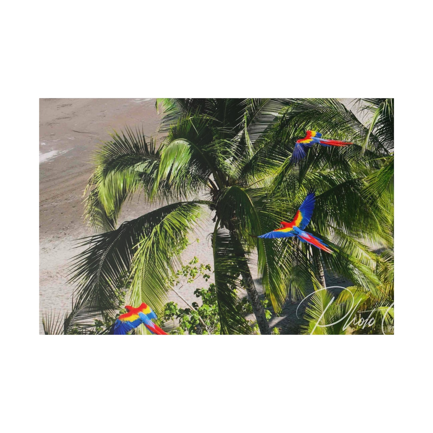 "Costa Rica: Eden's Embrace - A Tropical Tapestry"- Canvas