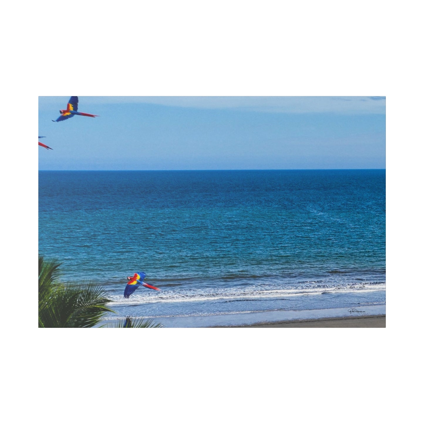 "Tropical Escape: Lapas in Paradise - An Enchanting Journey with Flying Macaws"- Canvas