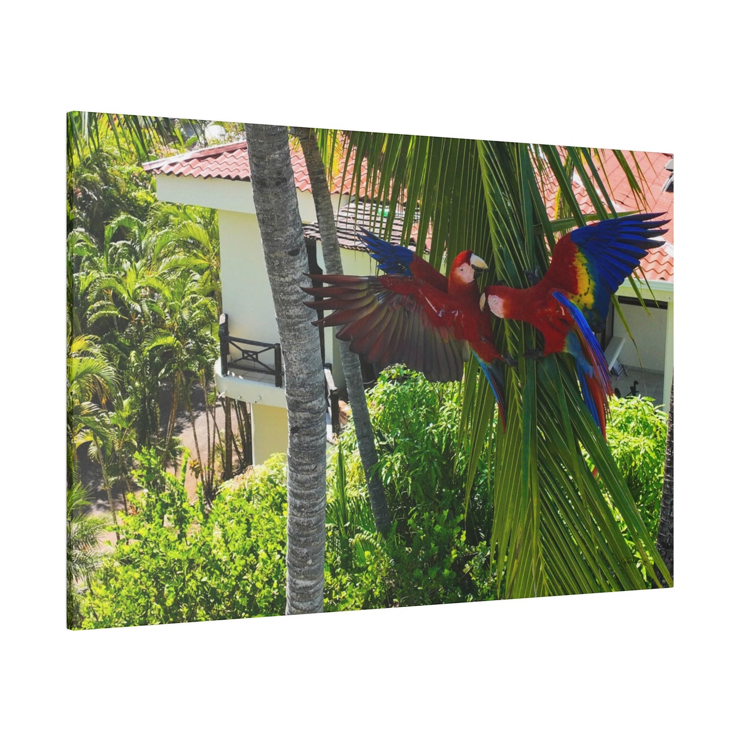 "Paradise Ascending: Marvellous Lapas Macaws in Tropical Flight"- Canvas